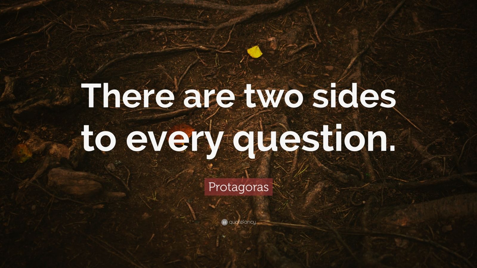 Protagoras Quote: “There Are Two Sides To Every Question.” (12 ...