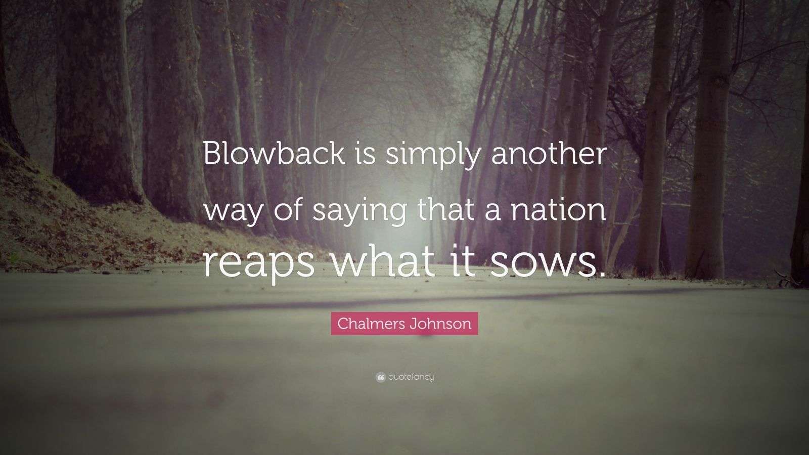 Chalmers Johnson Quote “Blowback is simply another way of saying that
