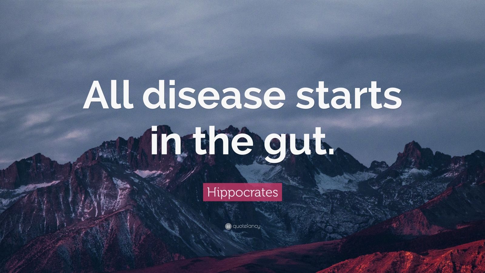 hippocrates-quote-all-disease-starts-in-the-gut-12-wallpapers