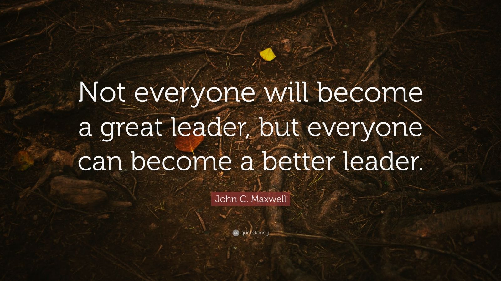 John C. Maxwell Quote: “Not Everyone Will Become A Great Leader, But ...