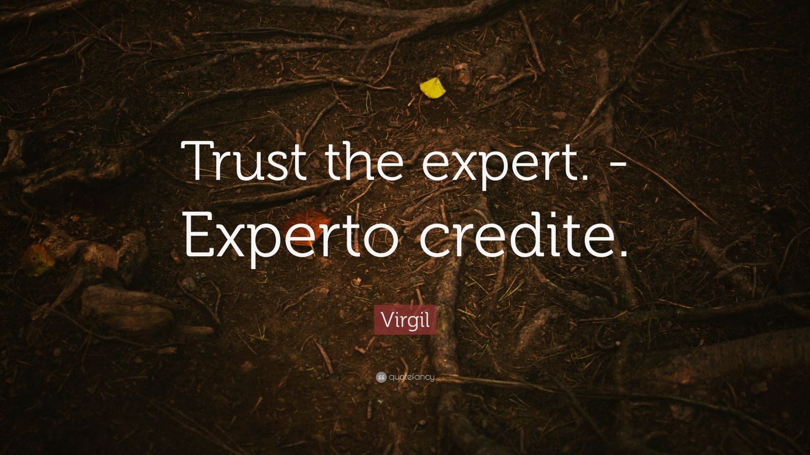 when can you trust the experts pdf