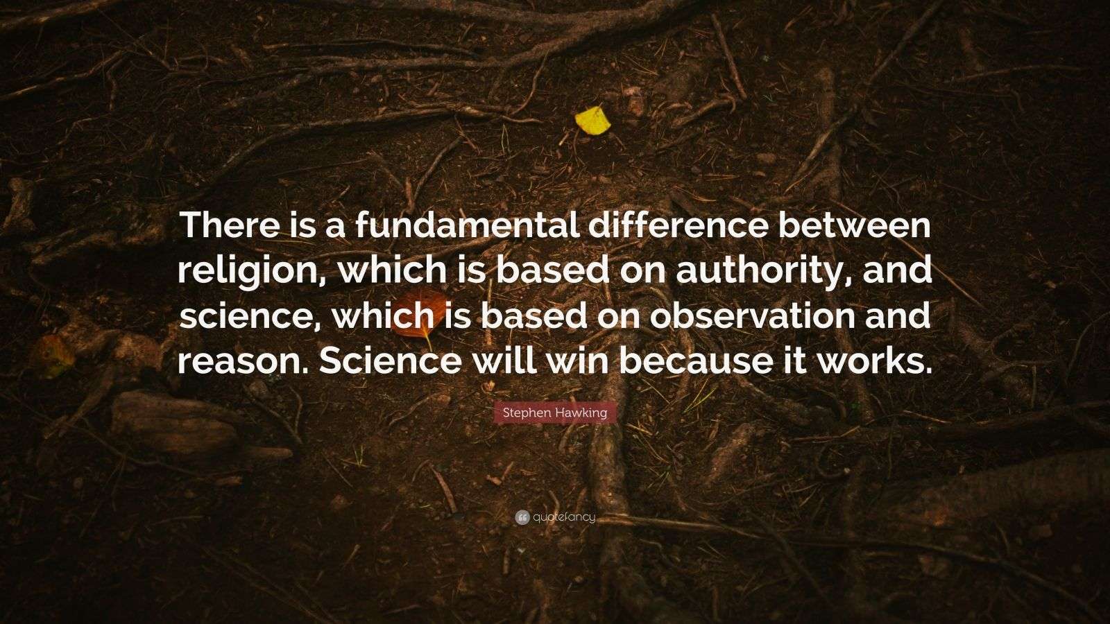 Stephen Hawking Quote: “There is a fundamental difference between