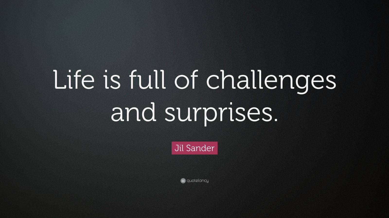 Jil Sander Quote “Life is full of challenges and surprises.” (7