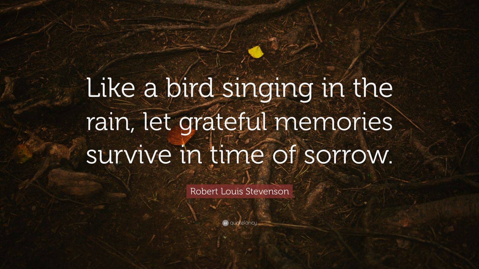 Robert Louis Stevenson Quote: “Like A Bird Singing In The Rain, Let ...