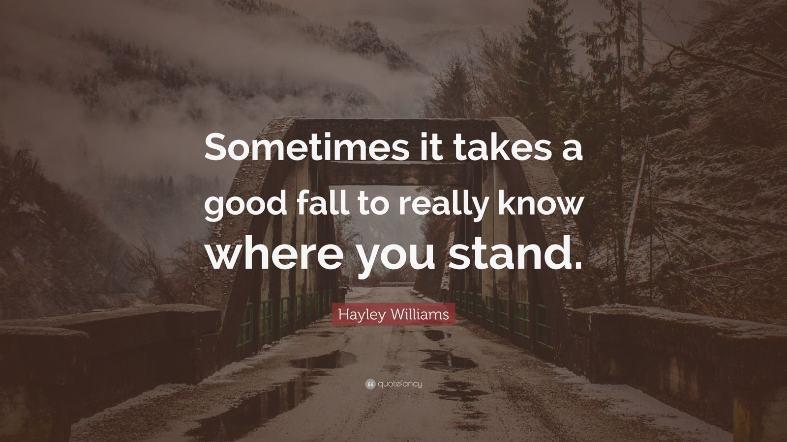 Hayley Williams Quote: “Sometimes it takes a good fall to really know 