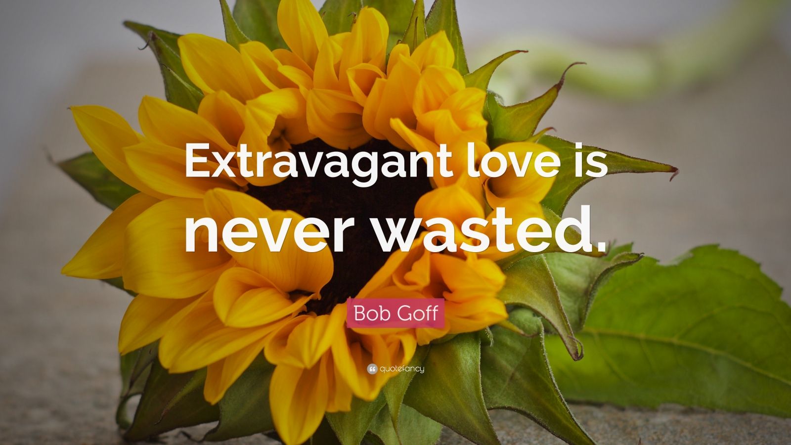 Bob Goff Quote: “Extravagant love is never wasted.” (12 wallpapers