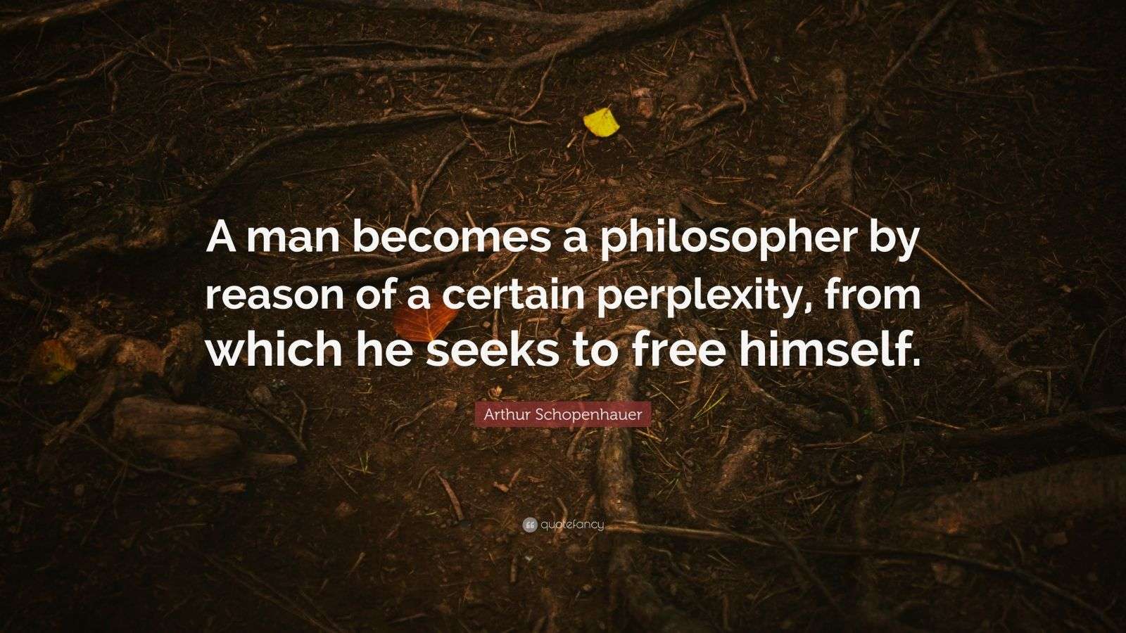 Arthur Schopenhauer Quote: “A man becomes a philosopher by reason of a ...