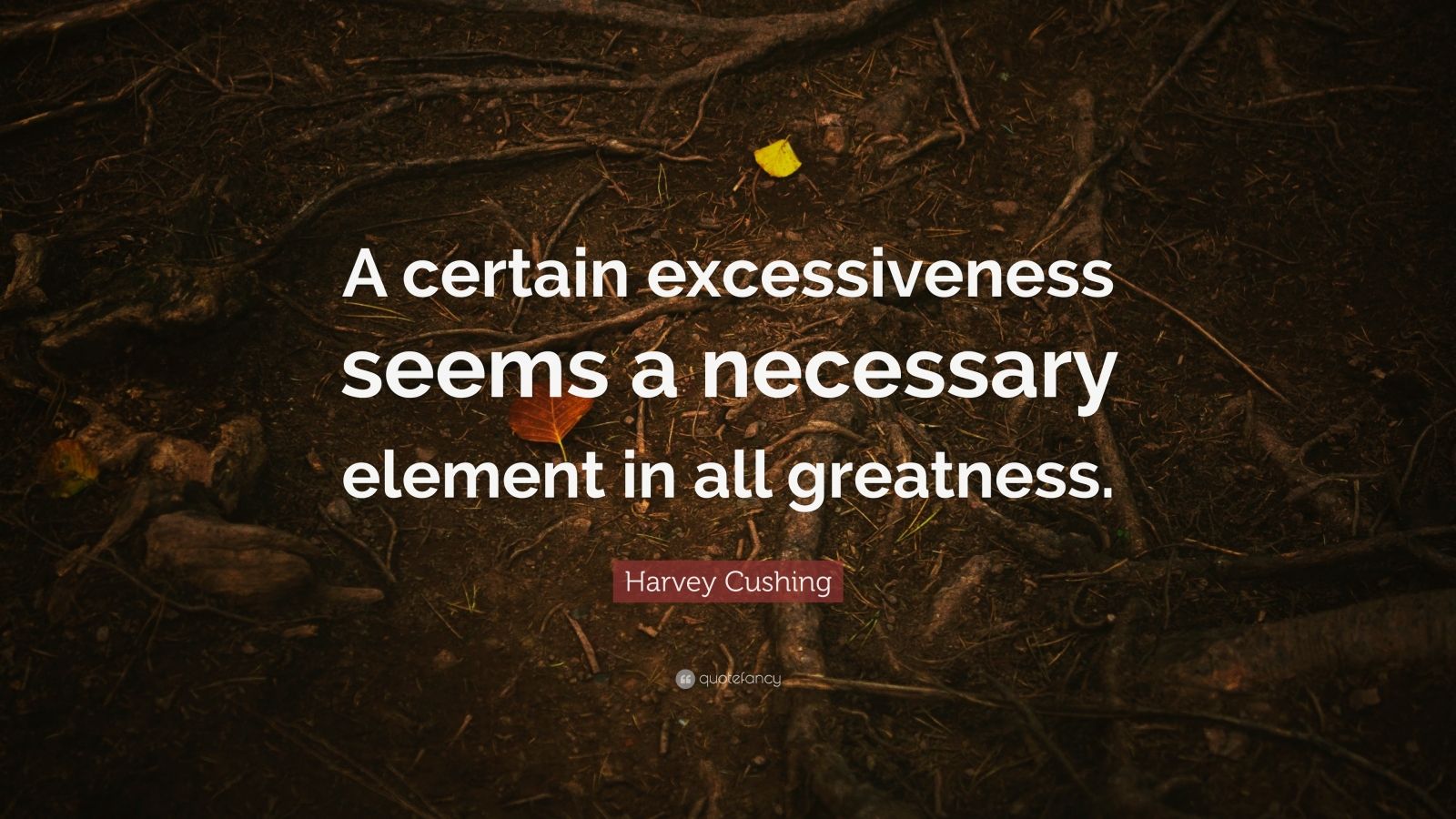 Harvey Cushing Quote: “A certain excessiveness seems a necessary