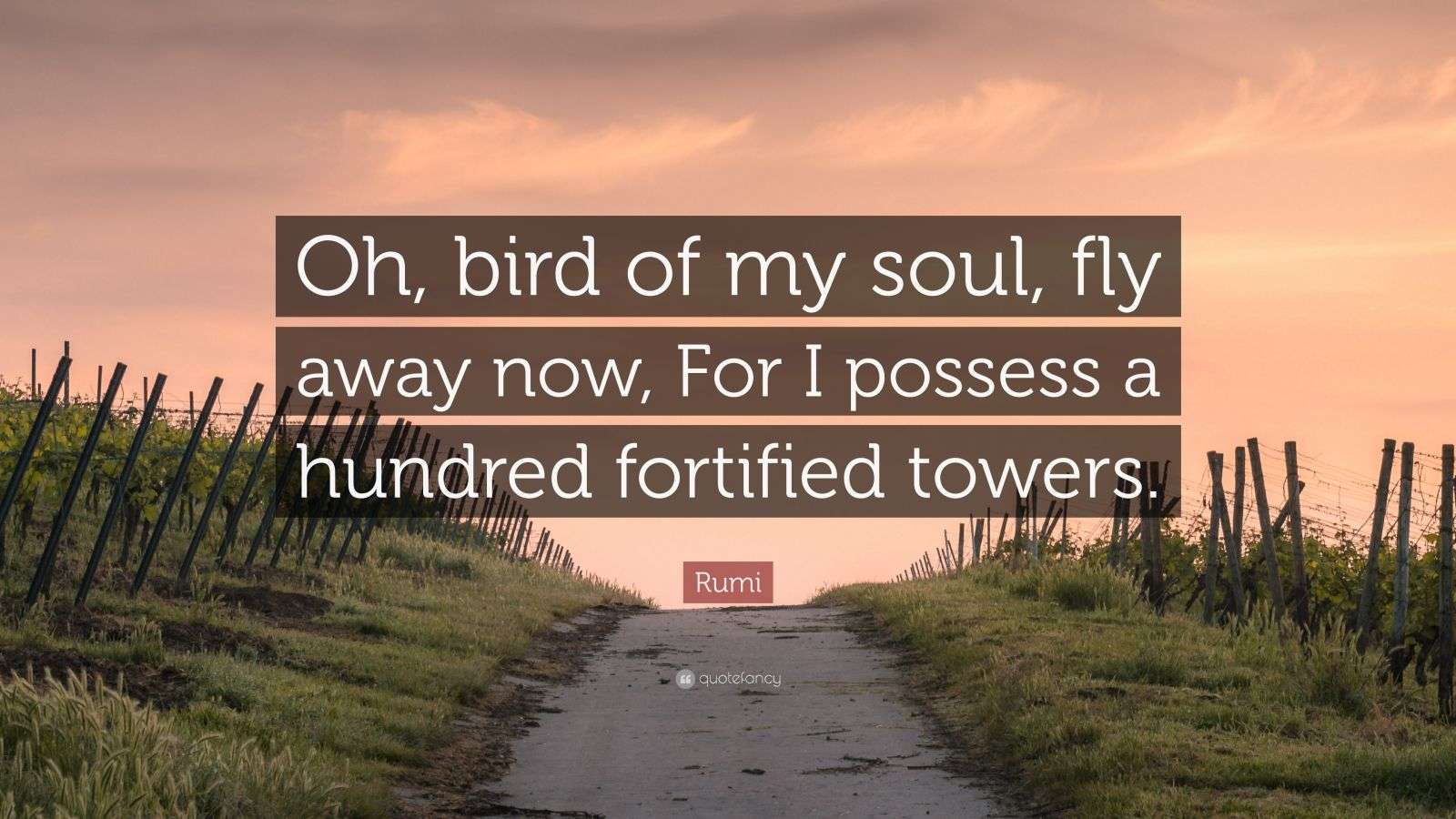 Rumi Quote “Oh, bird of my soul, fly away now, For I possess a hundred