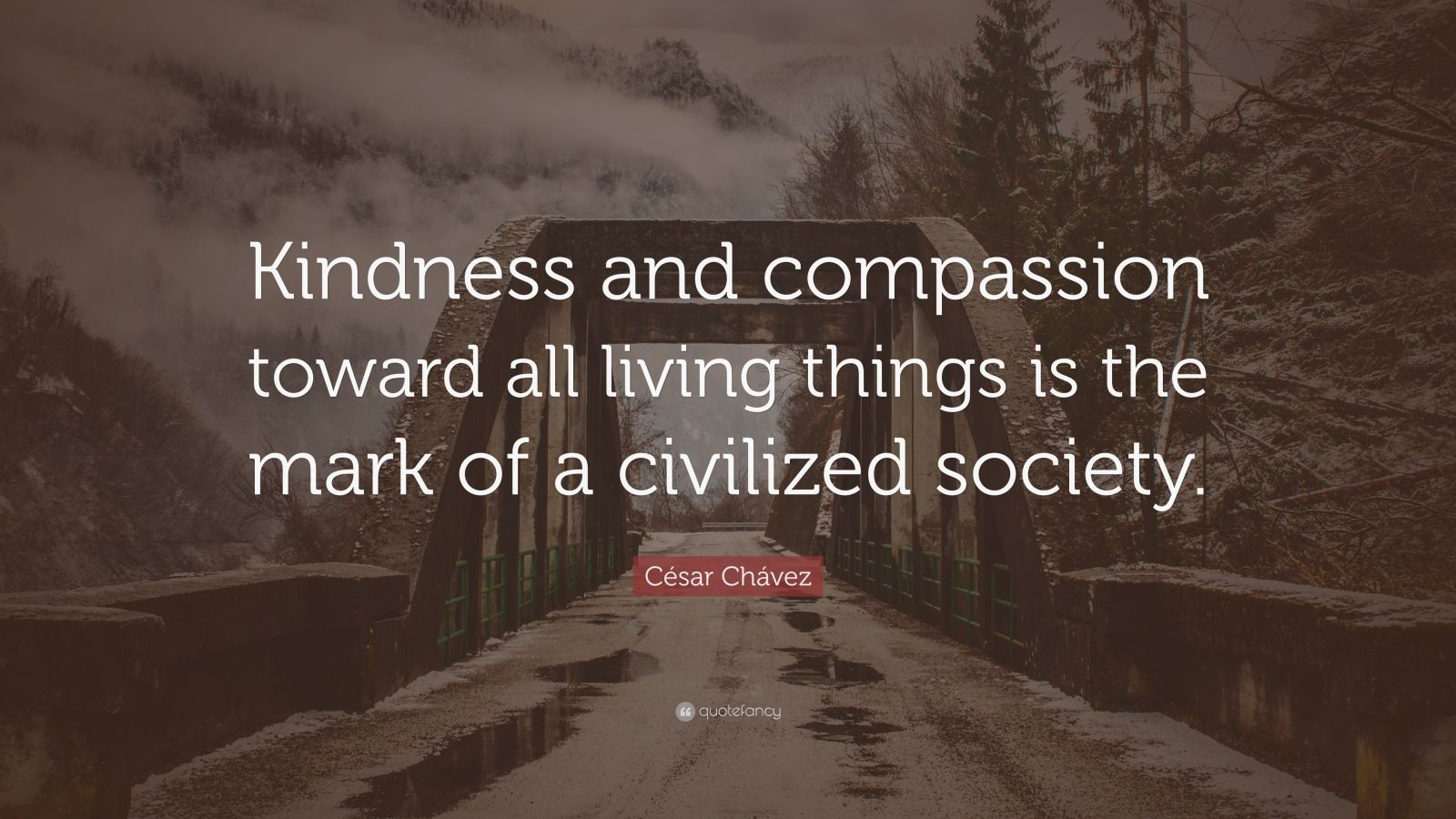 César Chávez Quote: “Kindness And Compassion Toward All Living Things ...