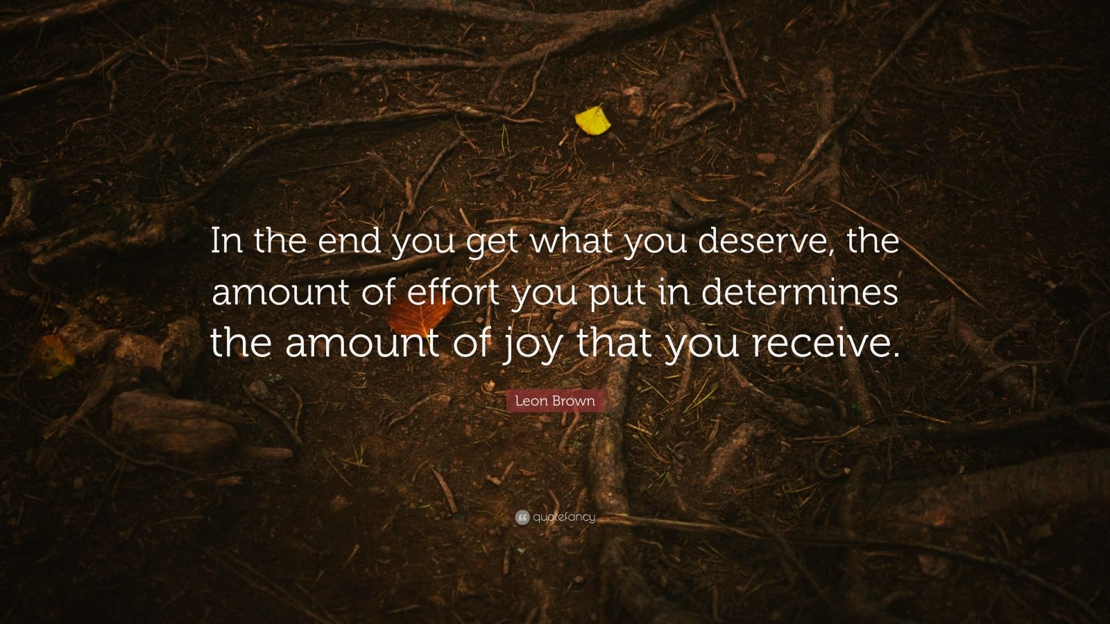 Leon Brown Quote In The End You Get What You Deserve The Amount