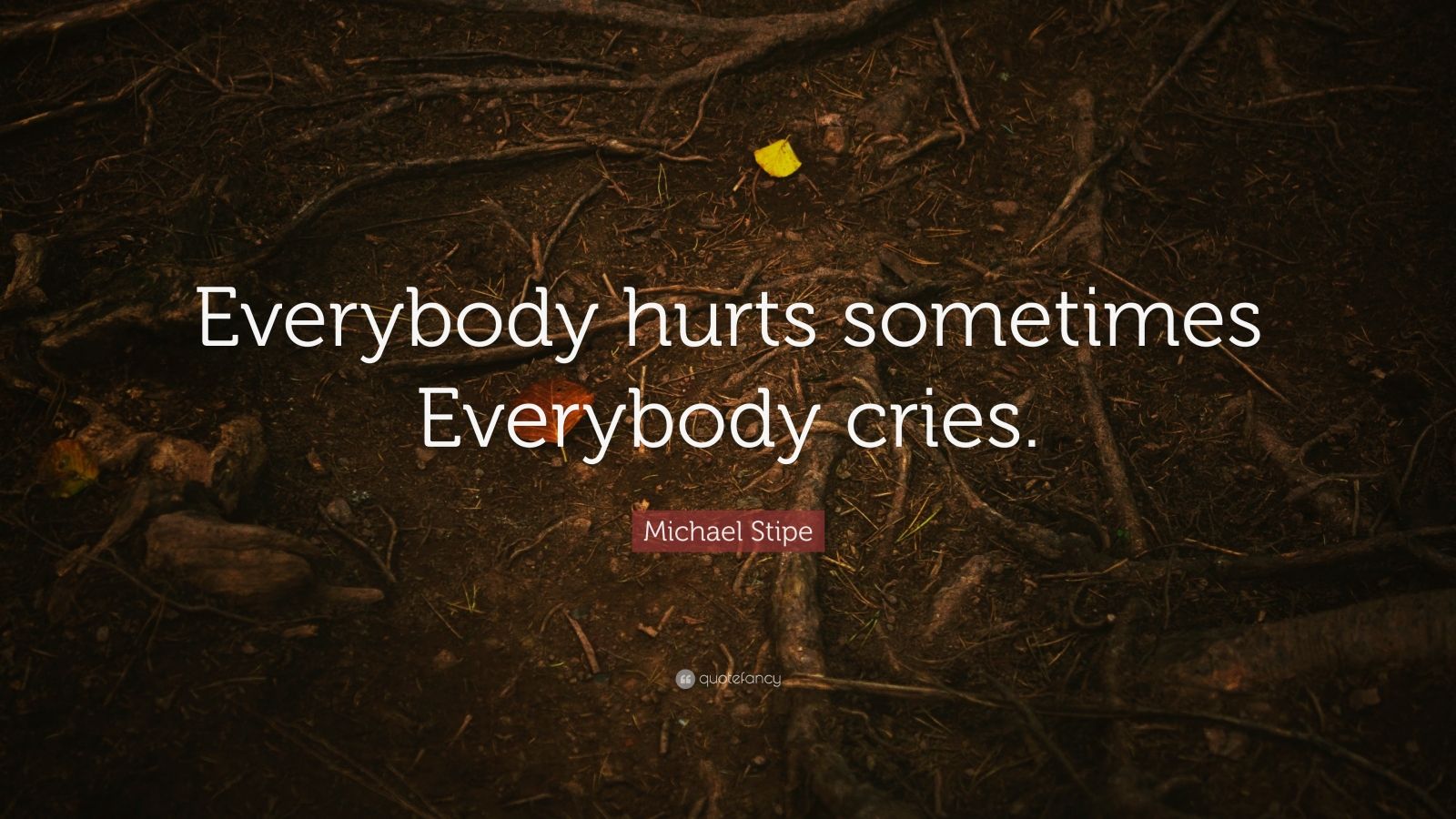 Michael Stipe Quote: “Everybody hurts sometimes Everybody cries.” (7 ...