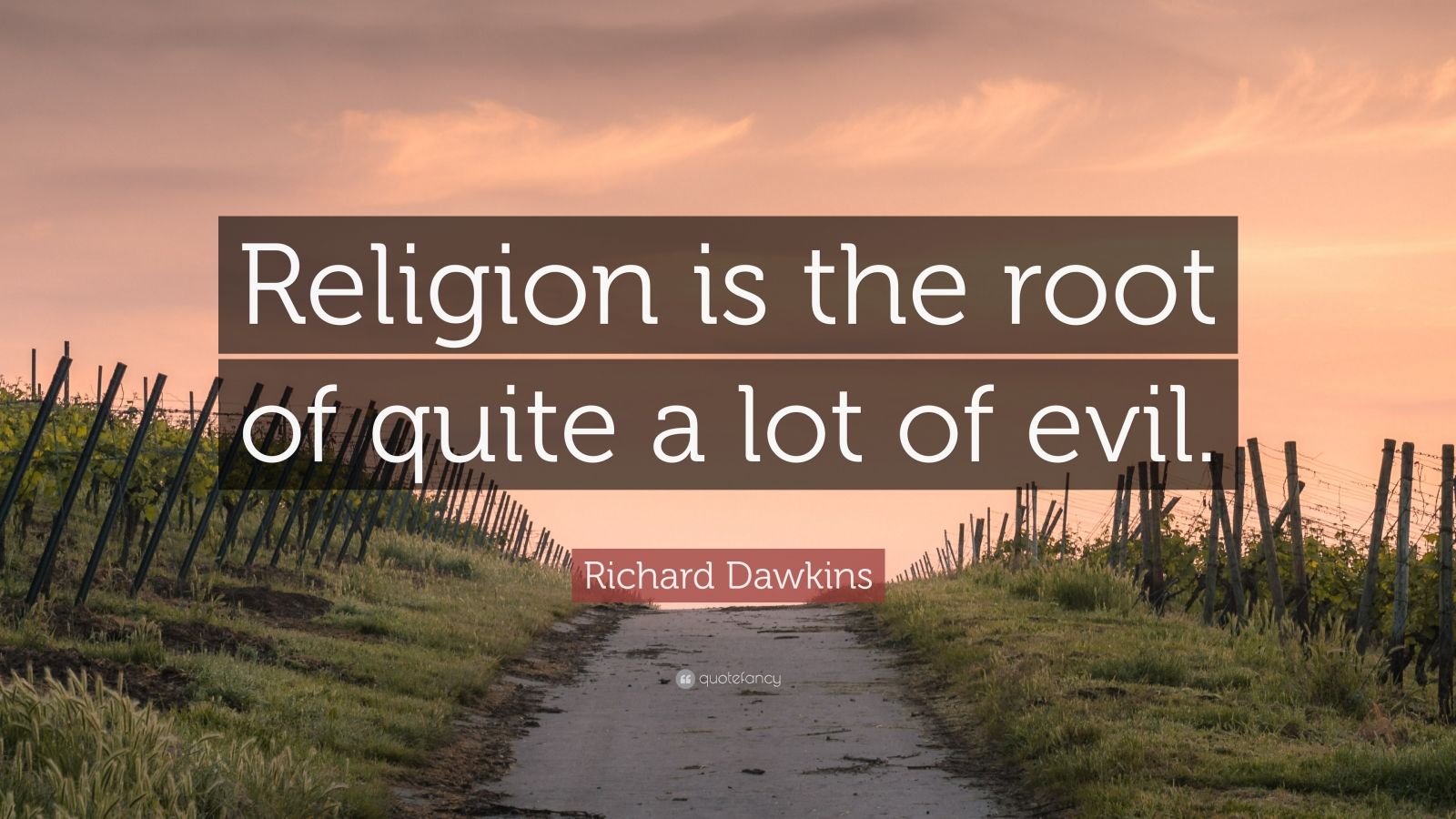 Richard Dawkins Quote: “Religion is the root of quite a lot of evil ...