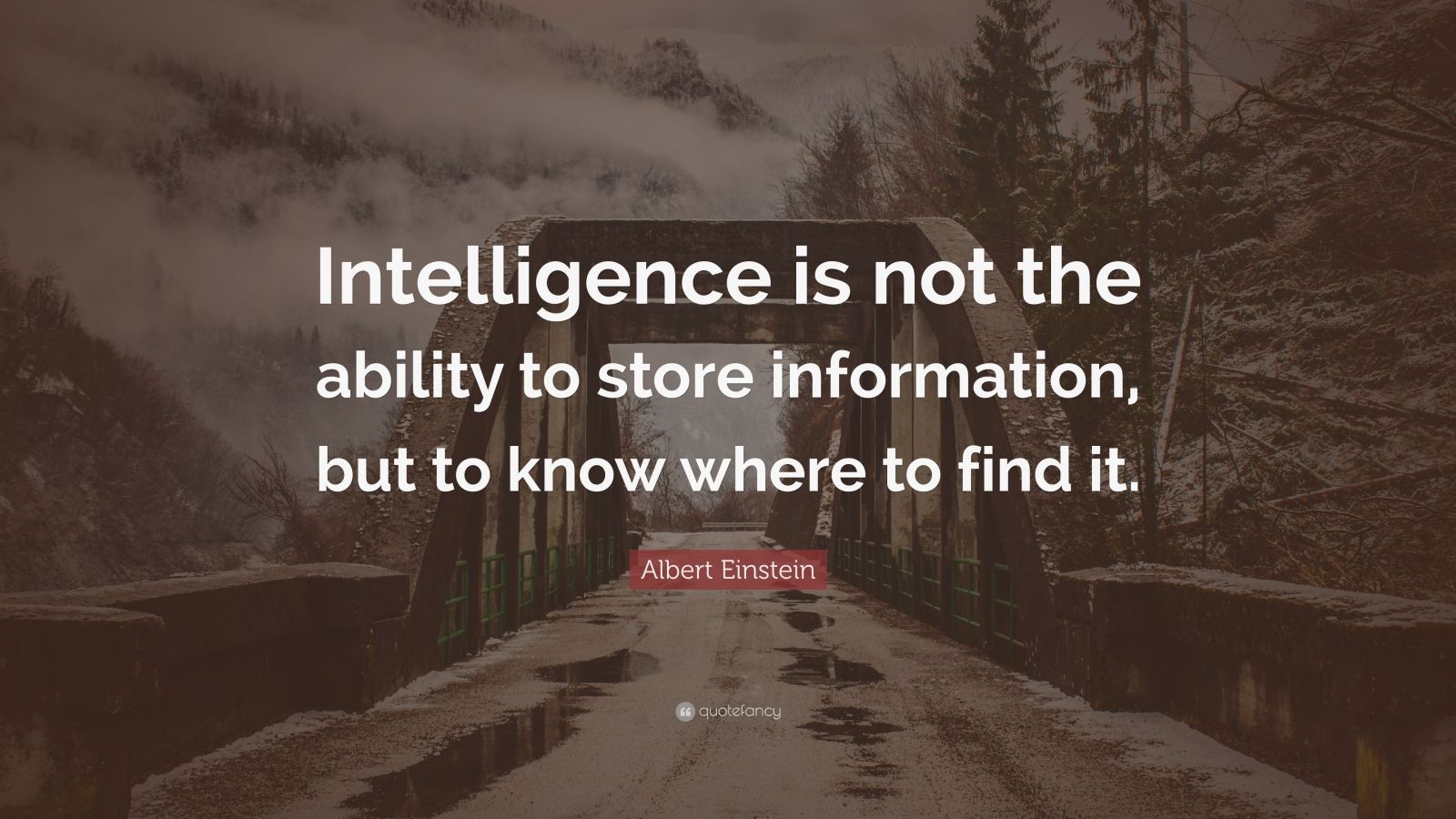 Albert Einstein Quote: “Intelligence is not the ability to store ...