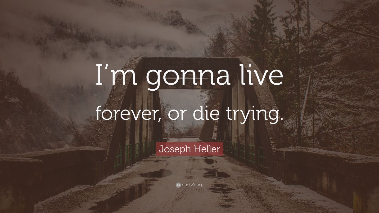 Die trying. Обои we Live Forever. Will win or die trying.