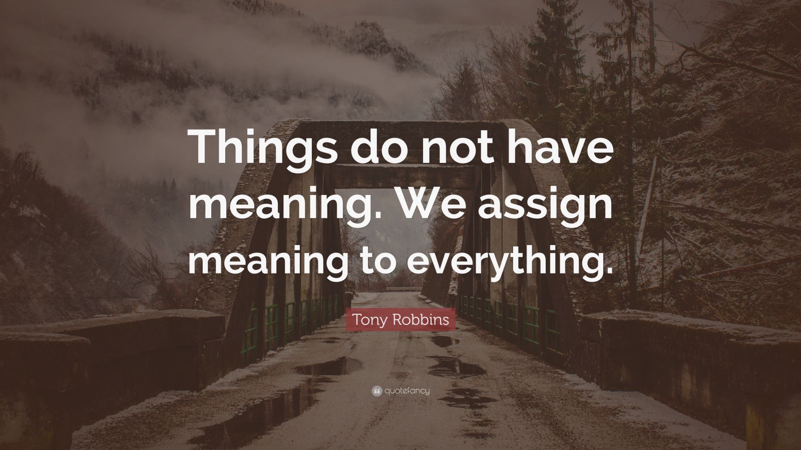 Tony Robbins Quote Things Do Not Have Meaning We Assign Meaning To 