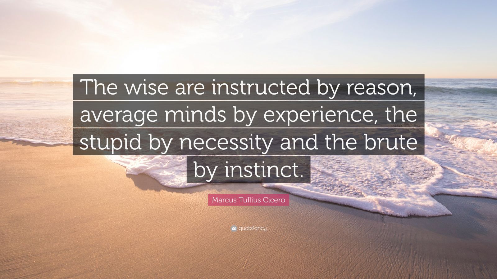 Marcus Tullius Cicero Quote: “The wise are instructed by reason ...