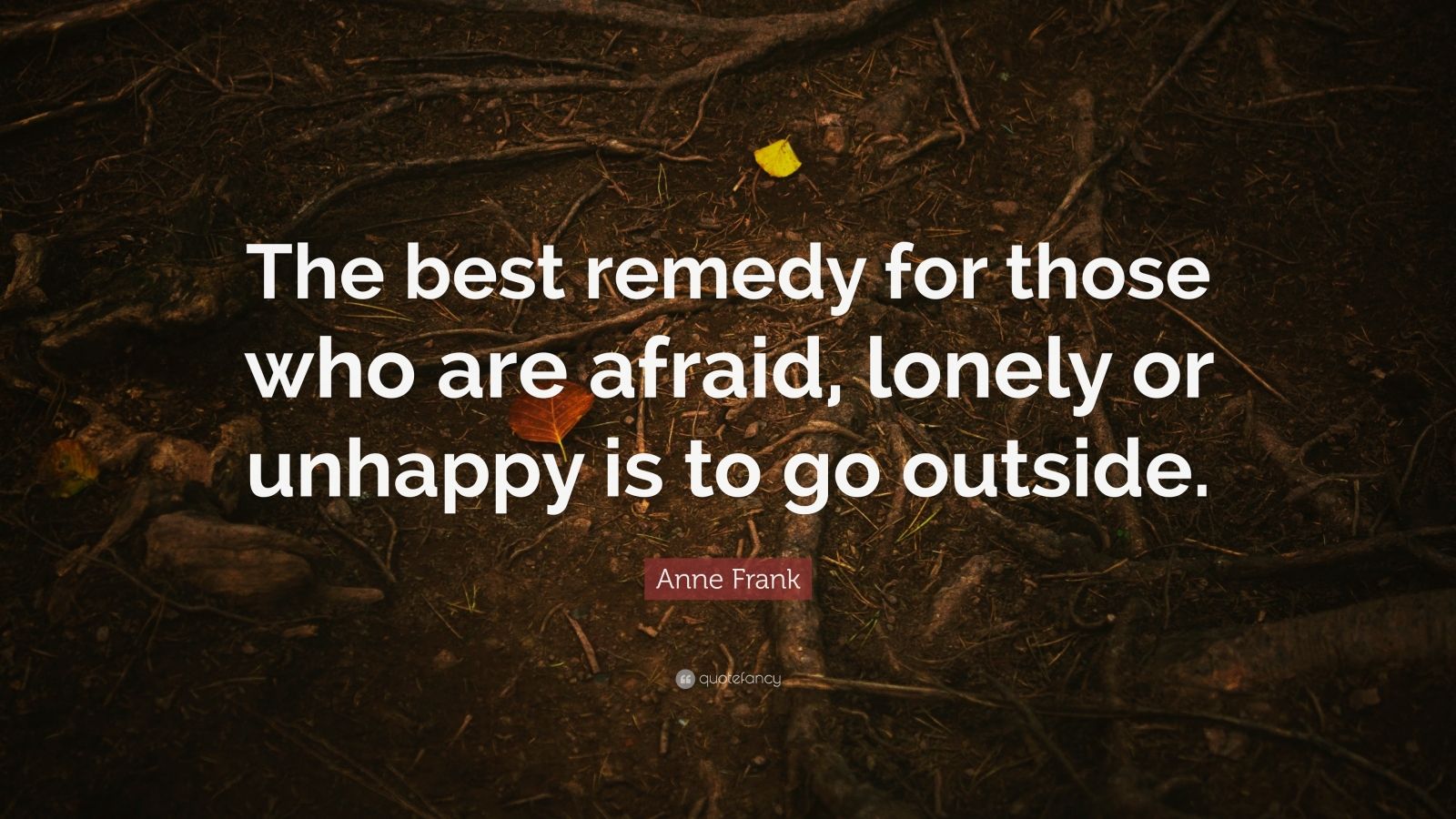 Anne Frank Quote “The best remedy for those who are