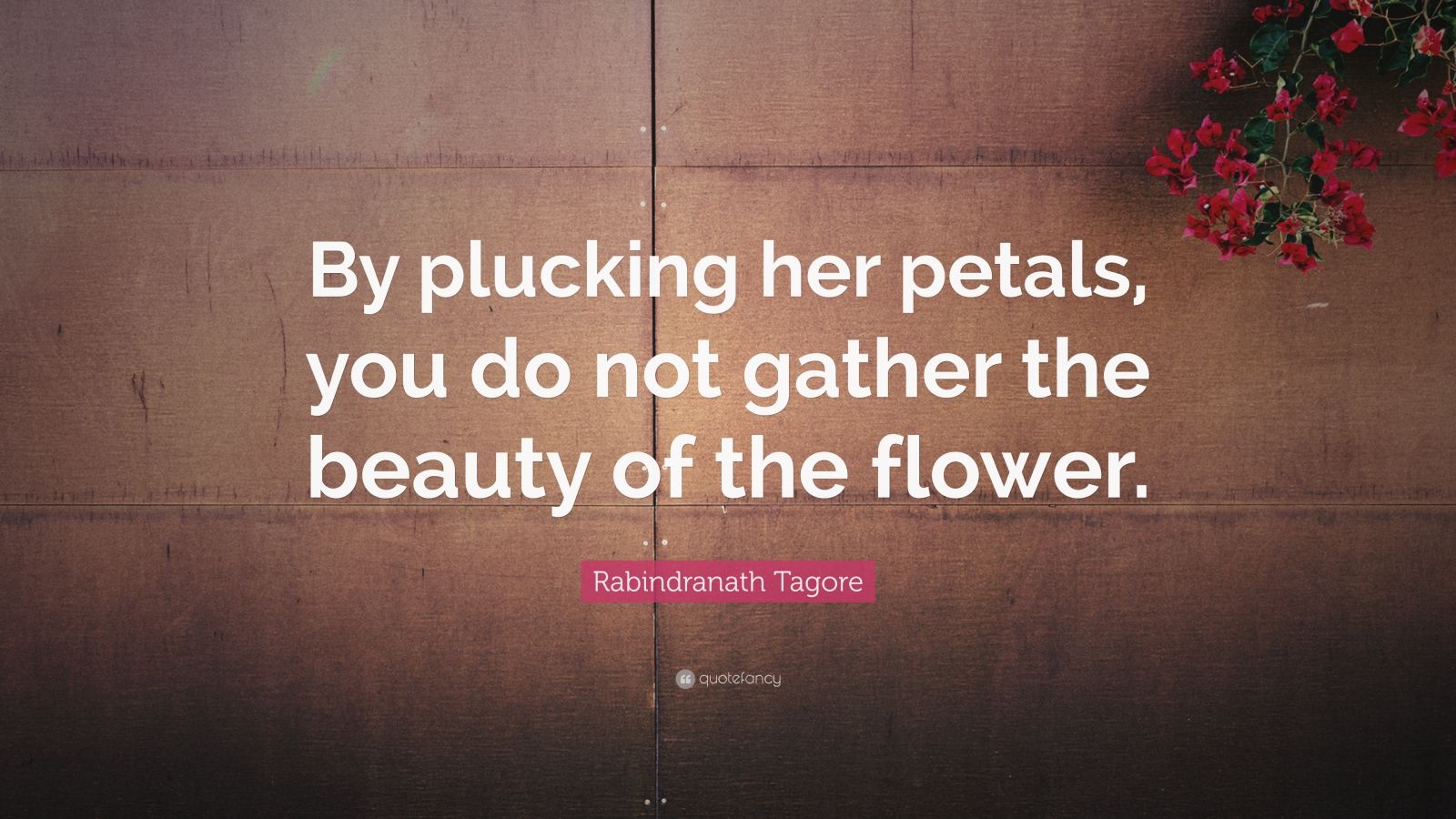 Rabindranath Tagore Quote “By plucking her petals, you do not gather