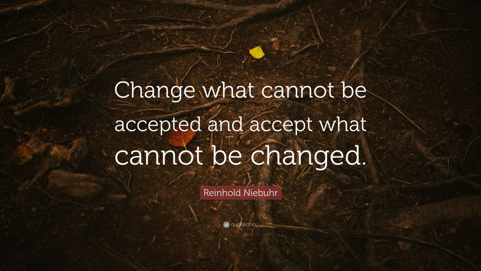 Reinhold Niebuhr Quote: “Change what cannot be accepted and accept what ...