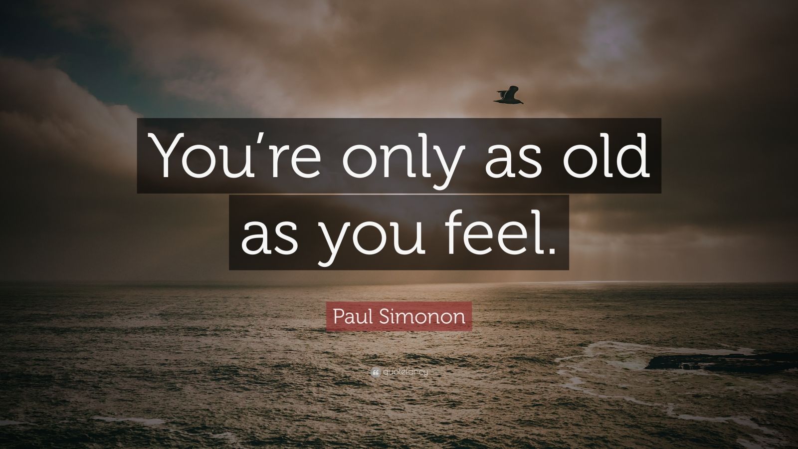 Paul Simonon Quote: “You’re only as old as you feel.” (9 wallpapers ...