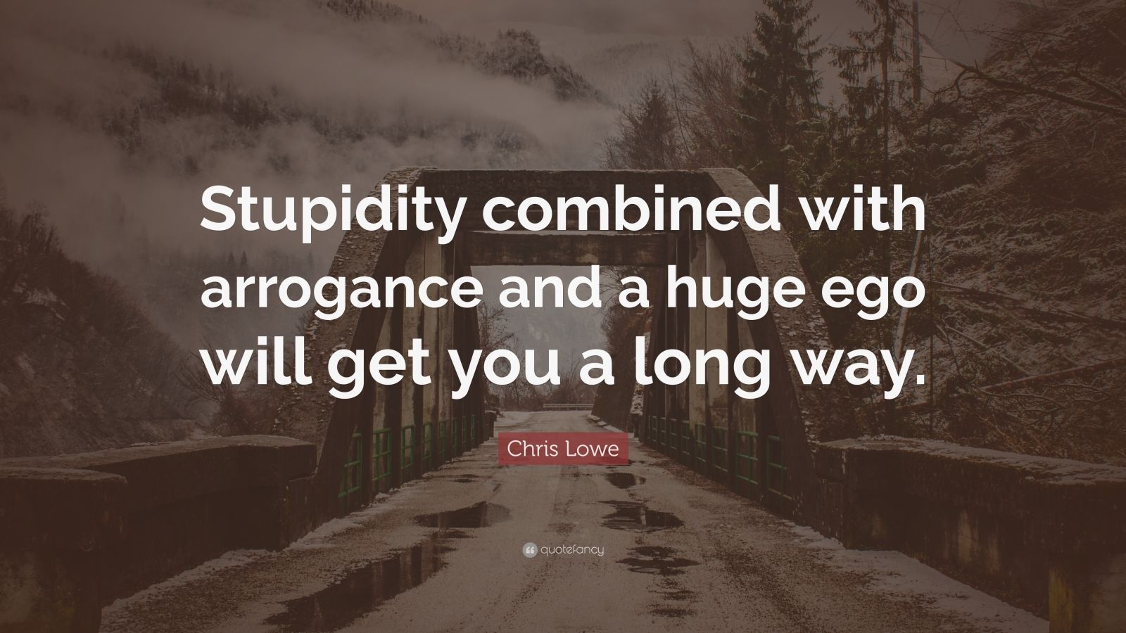Chris Lowe Quote “Stupidity combined with arrogance and a huge ego