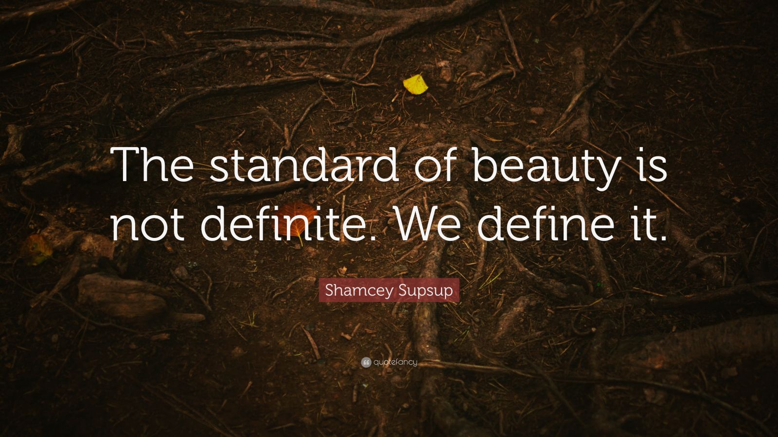 Shamcey Supsup Quote “The standard of beauty is not definite. We