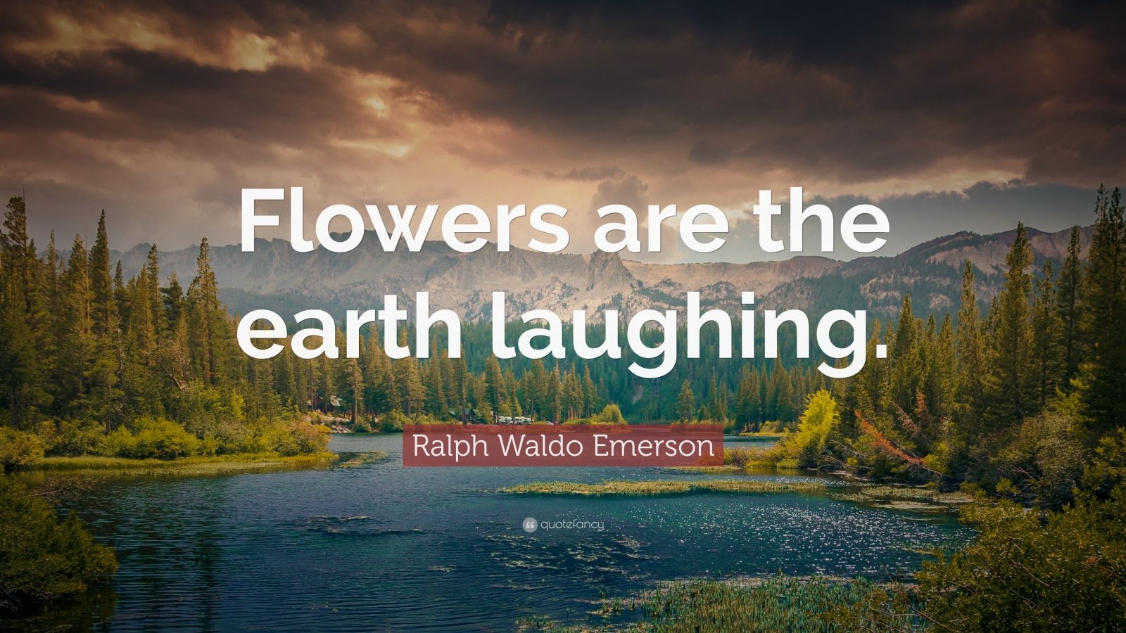 Ralph Waldo Emerson Quote: "Flowers are the earth laughing." (10 wallpapers) - Quotefancy