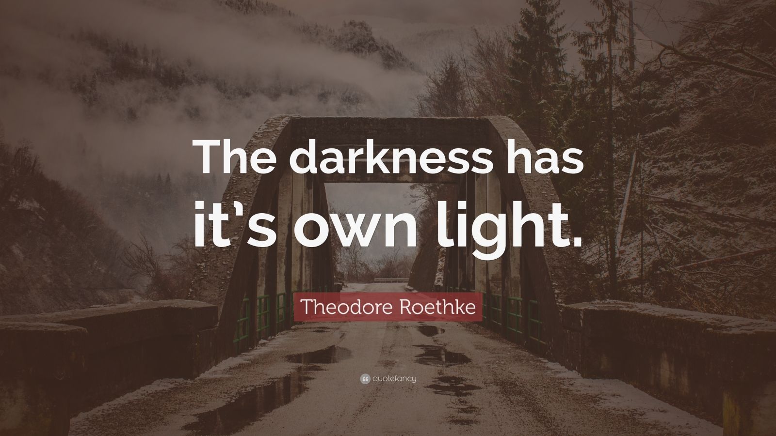 Theodore Roethke Quote: “The darkness has it’s own light.” (10 ...