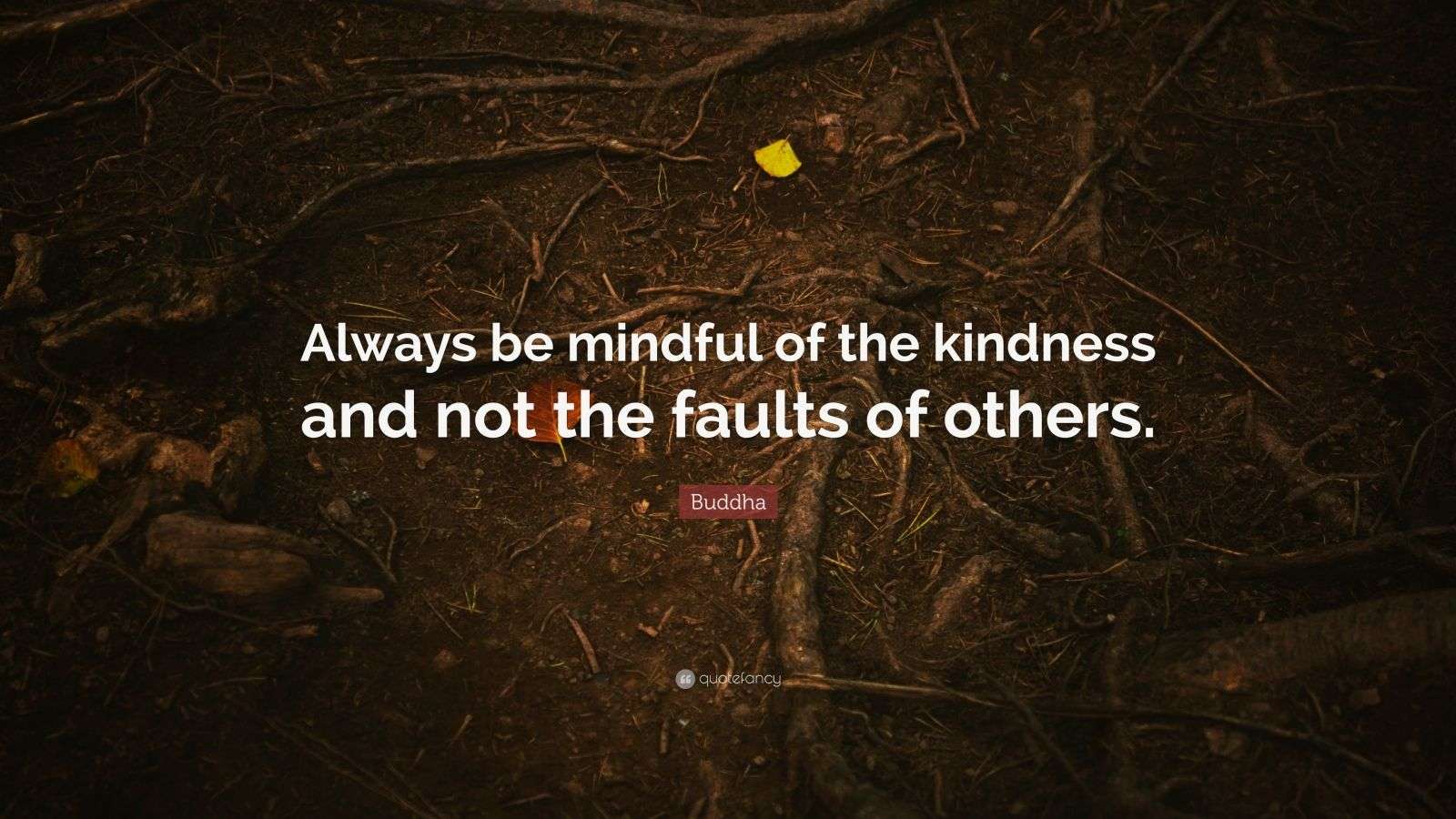 Always be mindful of the kindness and not the faults.