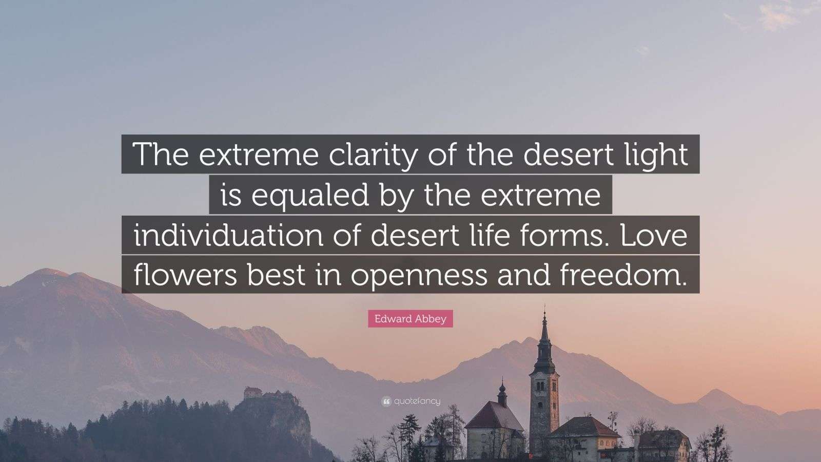 Edward Abbey Quote: “The extreme clarity of the desert light is equaled