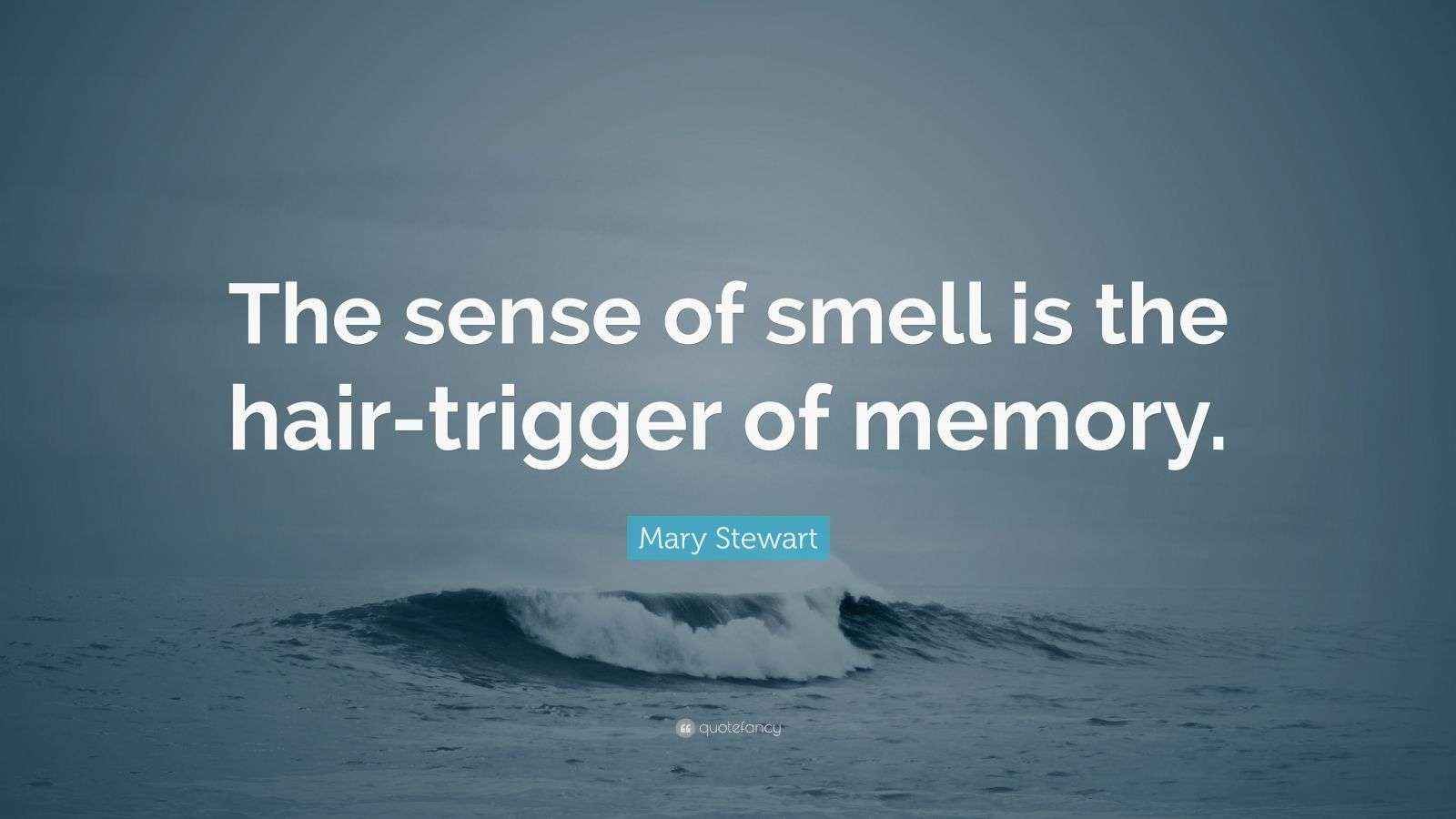 Mary Stewart Quote “The sense of smell is the hairtrigger of memory