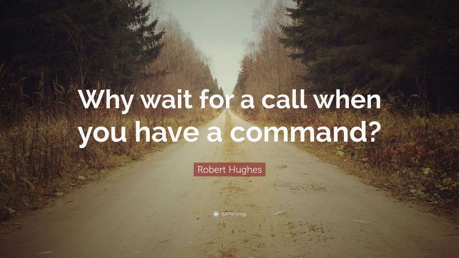 Robert Hughes Quote “Why wait for a call when you have a command?” (10