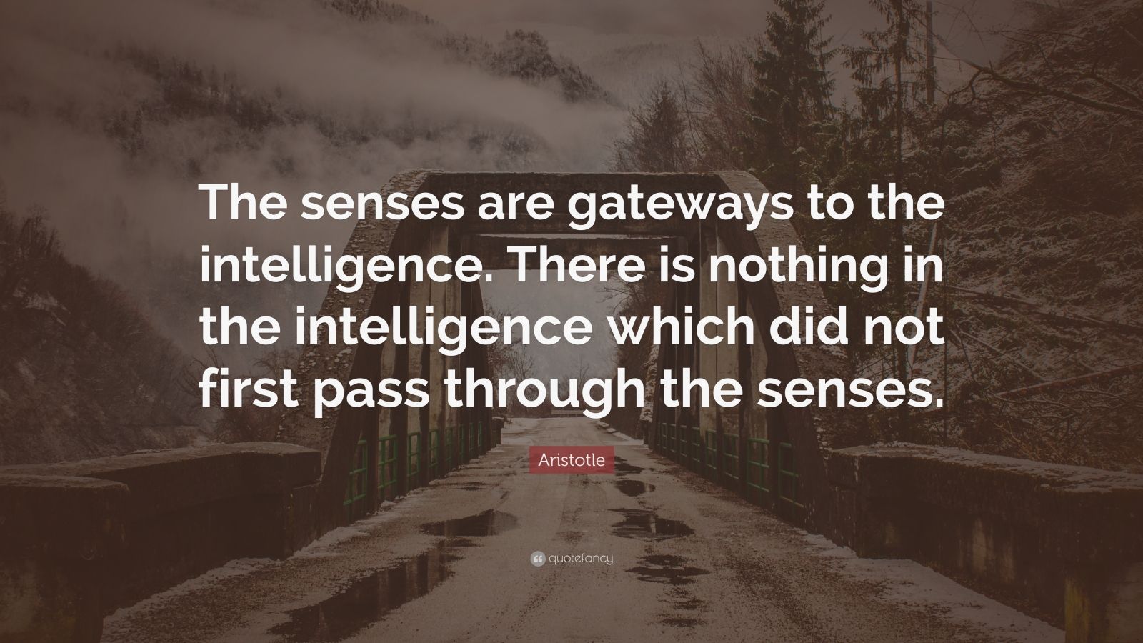 Aristotle Quote: “The senses are gateways to the intelligence. There is ...