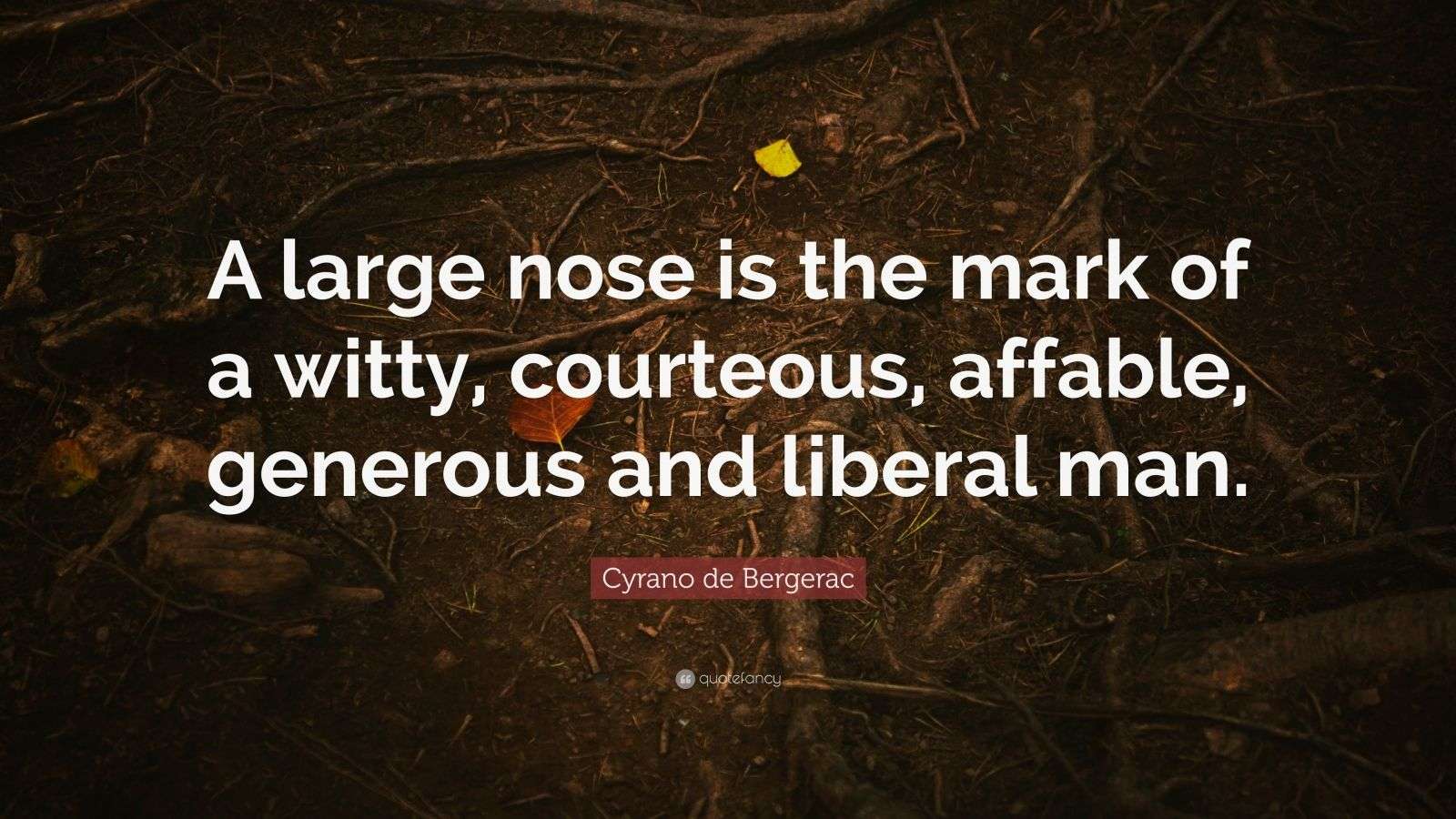 Cyrano De Bergerac Quotes In French