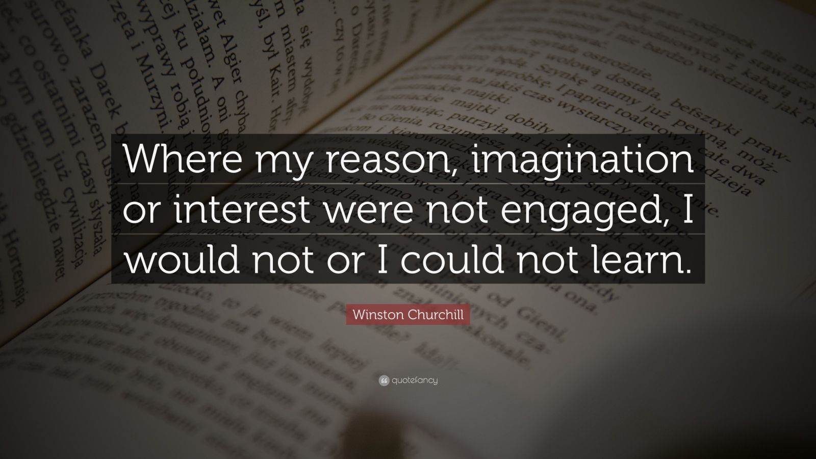 Winston Churchill Quote: “Where my reason, imagination or interest were ...