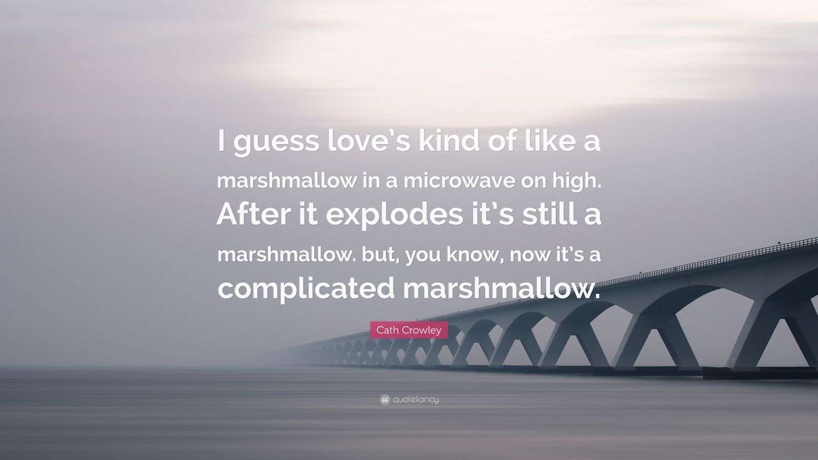 Cath Crowley Quote “I guess love’s kind of like a marshmallow in a