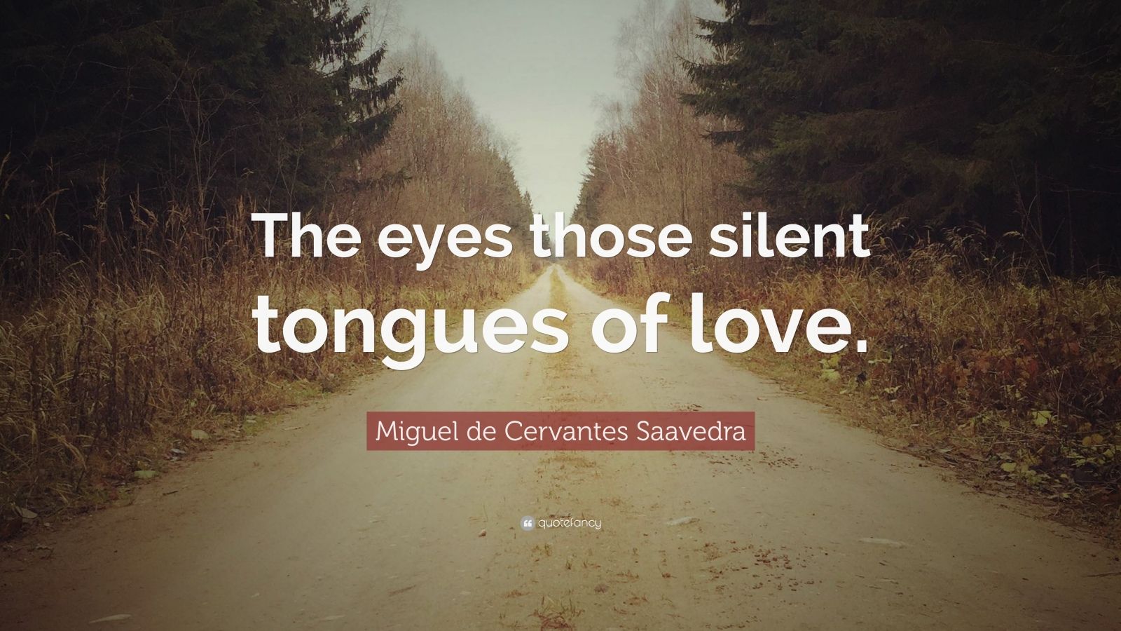 Miguel de Cervantes Saavedra Quote: "The eyes those silent tongues of love." (7 wallpapers ...