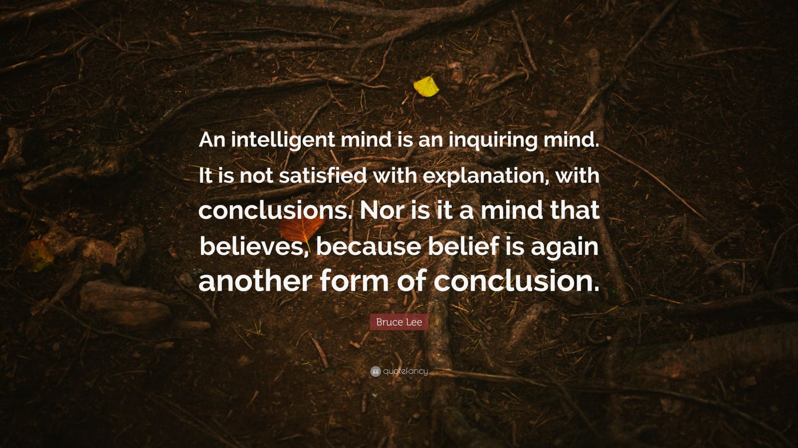 bruce-lee-quote-an-intelligent-mind-is-an-inquiring-mind-it-is-not