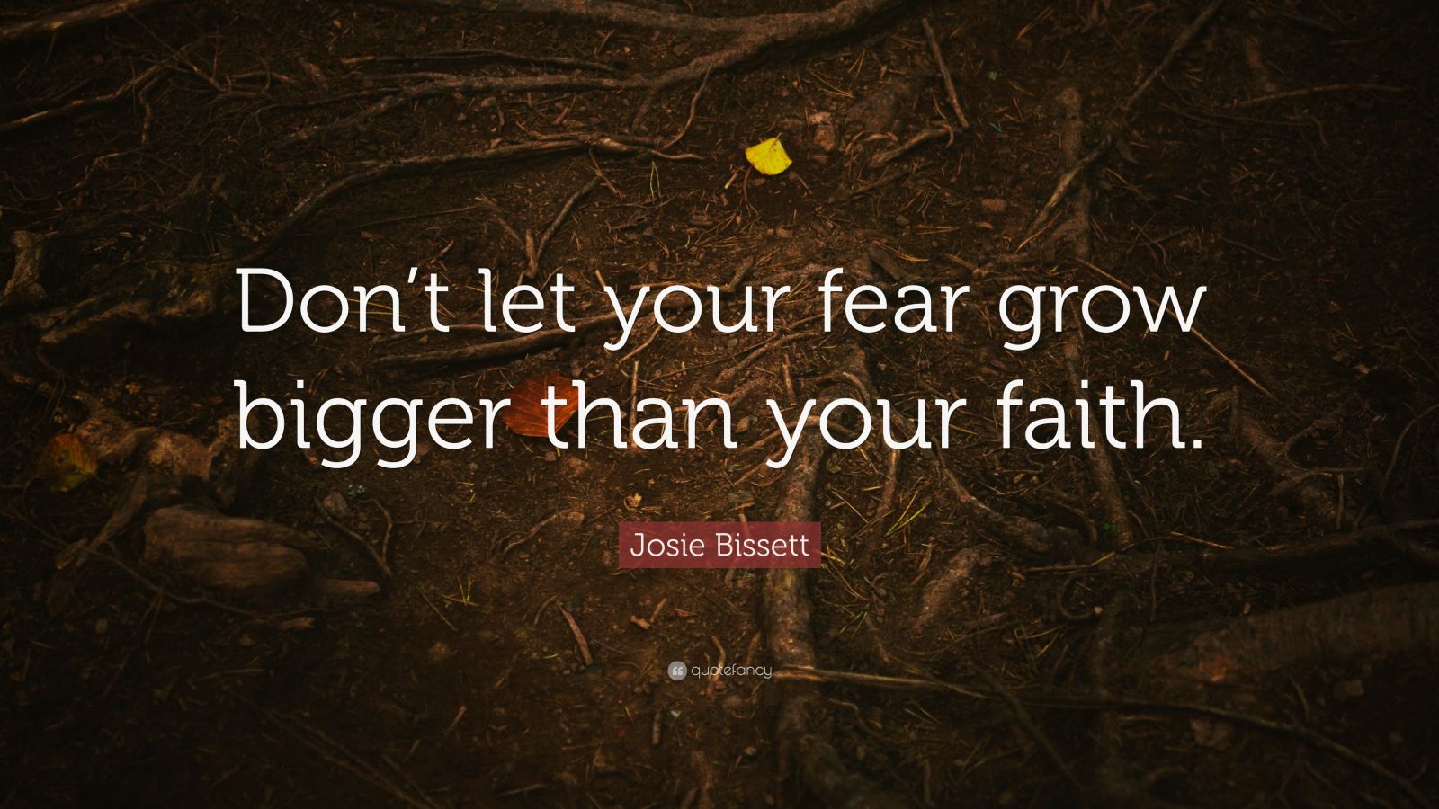 Josie Bissett Quote: “Don’t let your fear grow bigger than your faith ...