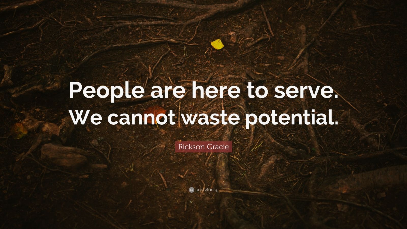 Rickson Gracie Quote: “People are here to serve. We cannot waste ...