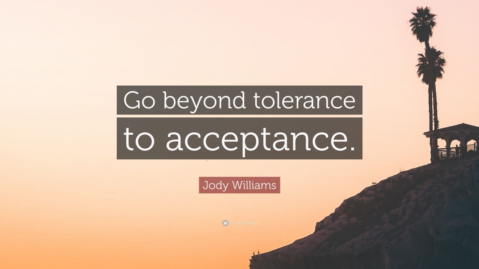 Jody Williams Quote “Go beyond tolerance to acceptance