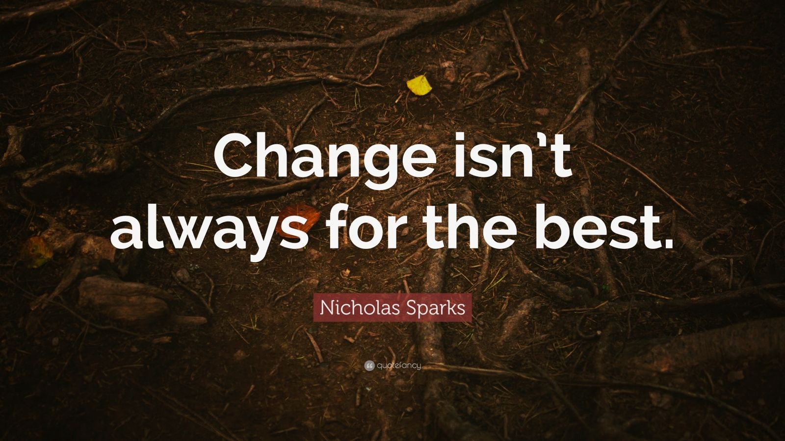 nicholas-sparks-quote-change-isn-t-always-for-the-best-7