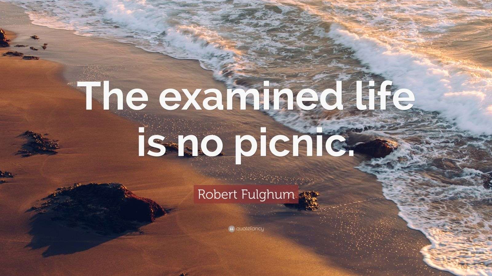 Robert Fulghum Quote “The examined life is no picnic.” (9 wallpapers