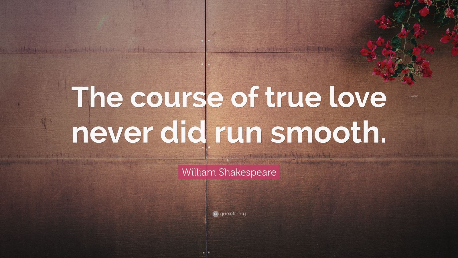 The Course of True Love Never Did Run SMooth essays