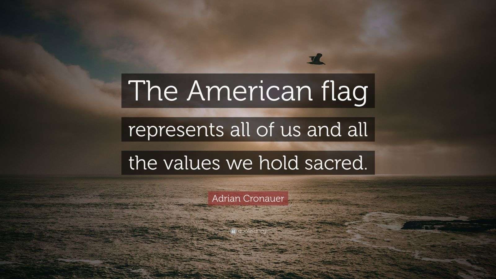Adrian Cronauer Quote “The American flag represents all of us and all