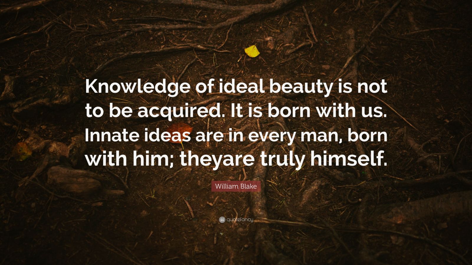 William Blake Quote “knowledge Of Ideal Beauty Is Not To Be Acquired