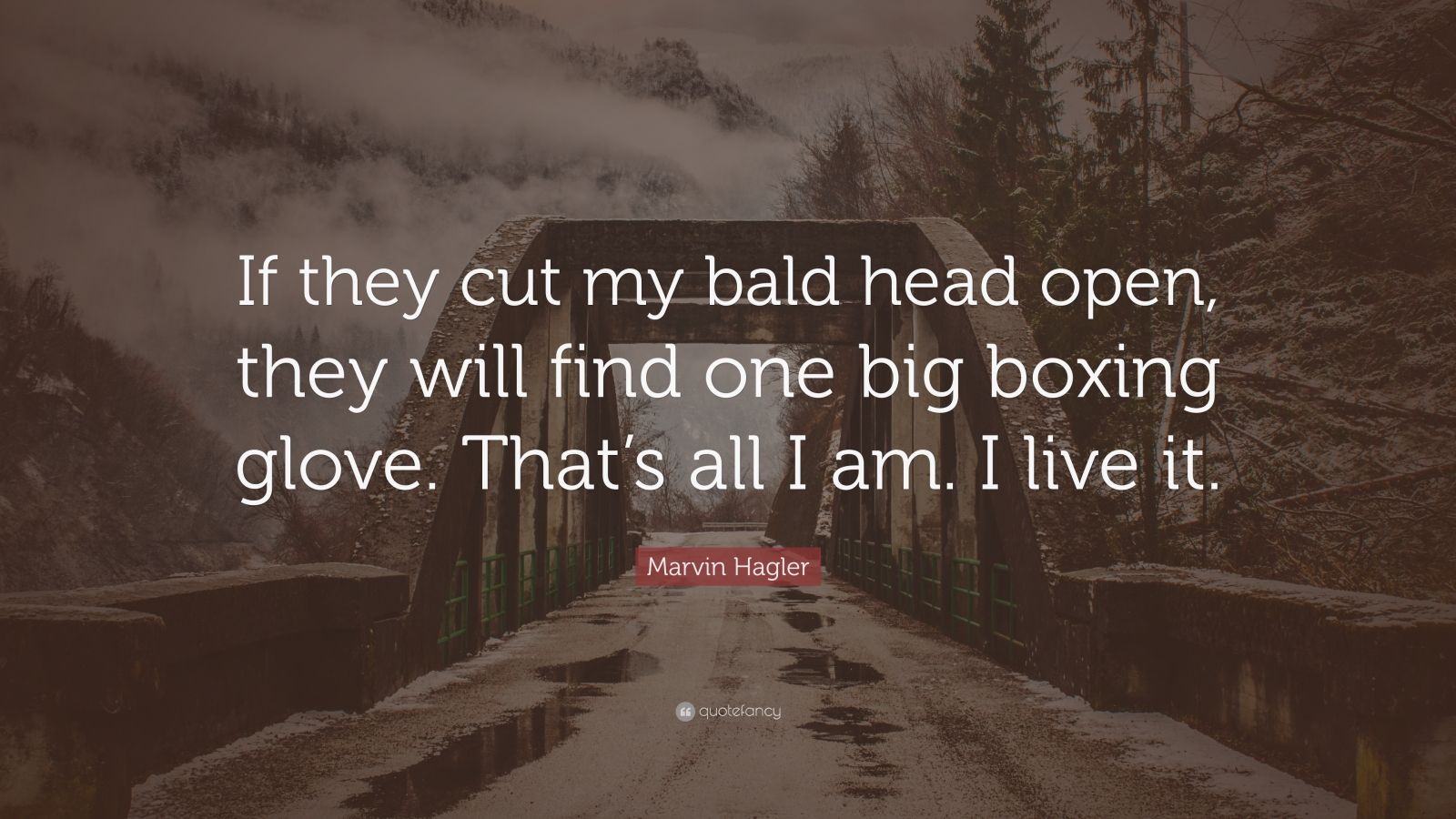 Marvin Hagler Quote: "If they cut my bald head open, they ...