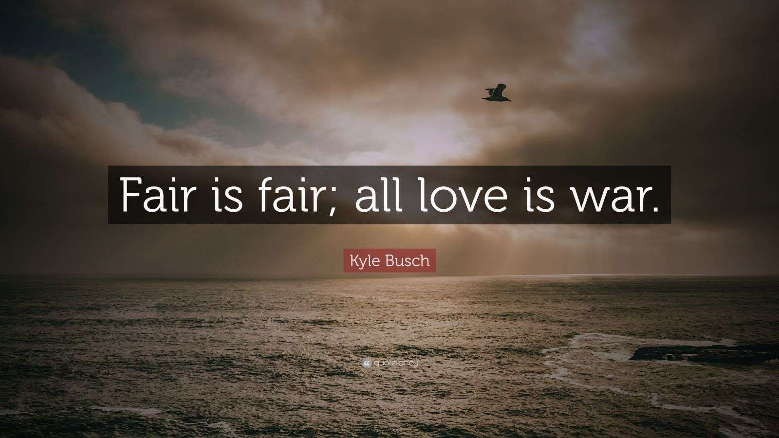 Kyle Busch Quote “Fair is fair; all love is war.” (7 wallpapers