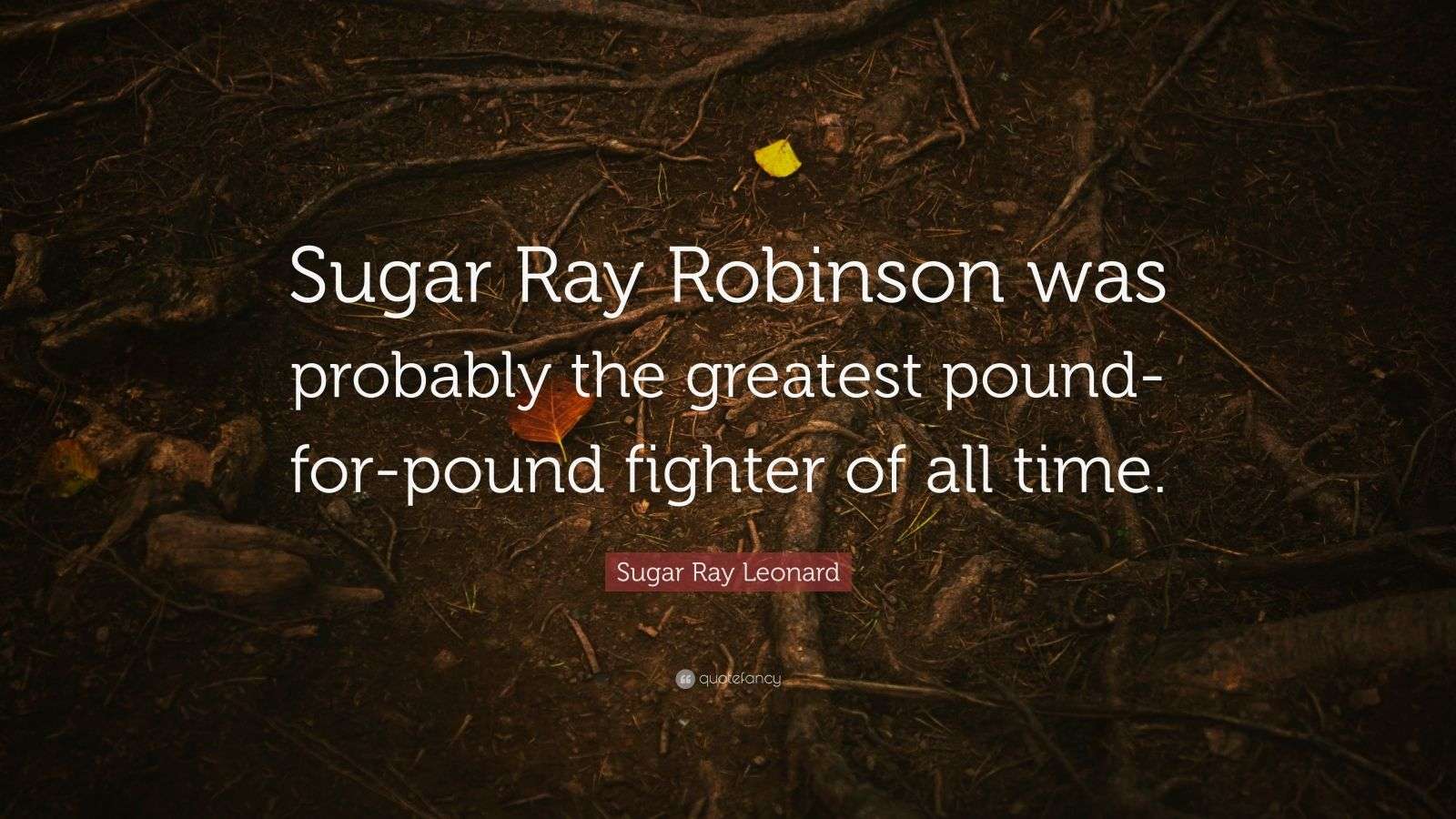 Sugar Ray Leonard Quote Sugar Ray Robinson Was Probably The Greatest sugar-ray-leonard-quote-sugar-ray-robinson-was-probably-the-greatest